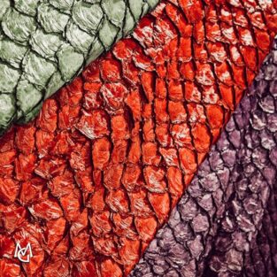 Reaproveitamento do couro de peixe é uma questão de sustentabilidade